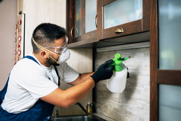 Dalton Gardens, ID Pest Control Company