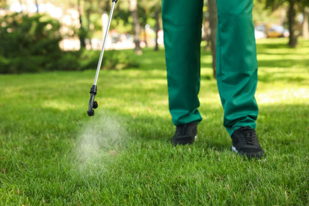  Dalton Gardens, ID Pest Control Pros