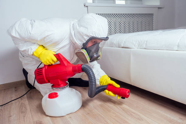 Best Flea Control Services  in Dalton Gardens, ID
